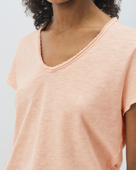 T-SHIRT SON02AG BISCUIT ~ AMERICAN VINTAGE