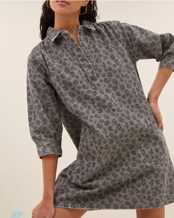 ROBE FLYNTH GREY CHEETAH ~ BY BAR