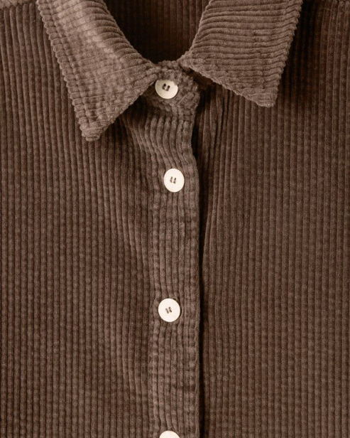 CHEMISE PADO06A OURS ~ AMERICAN VINTAGE